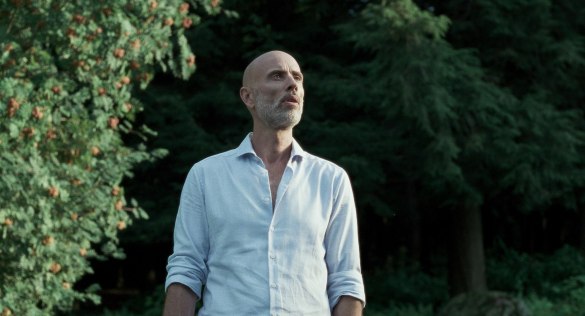 12513541_450521165138251_8544813643166164408_o