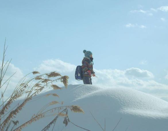 13887_lanuitoujainage